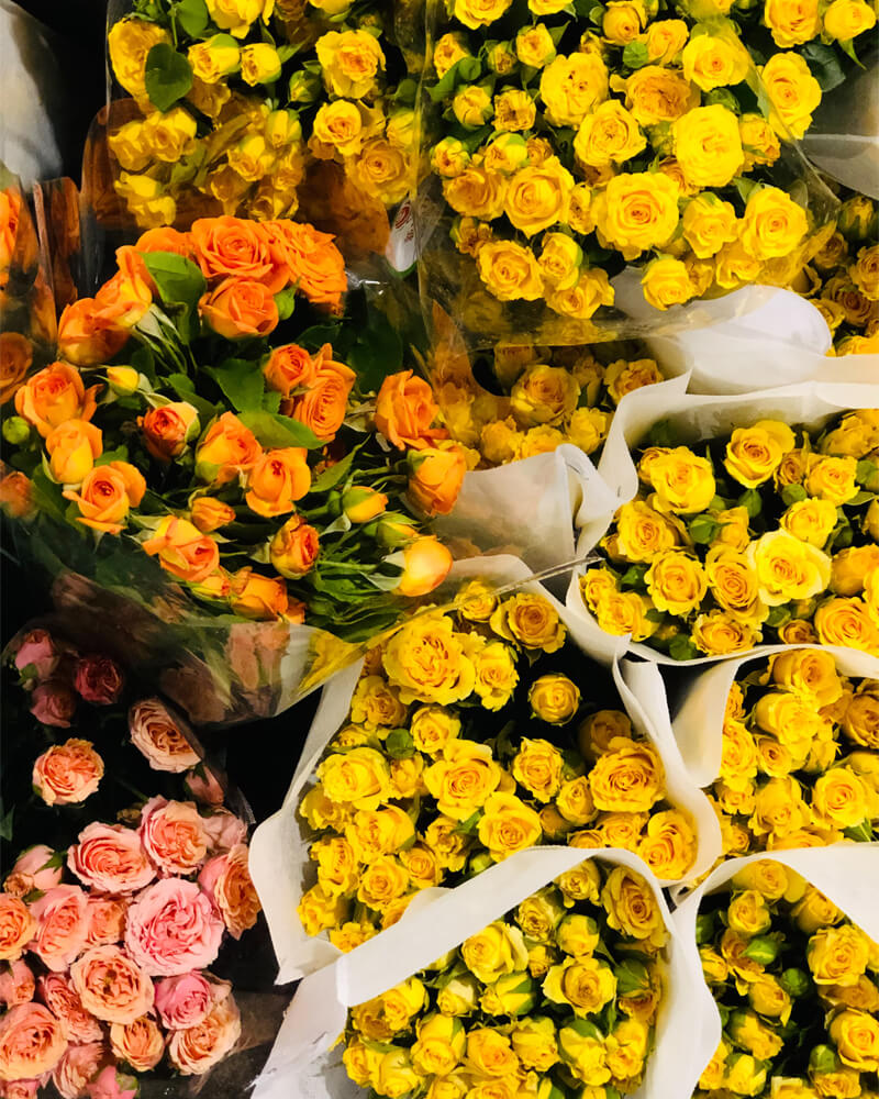 flower6